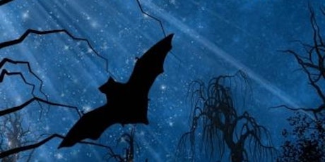 Bones, Bats and Bumps in the Night workshop tickets