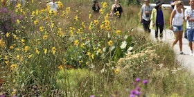The Chelsea Grasslands Panel: Prairie in the City tickets