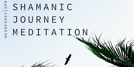 Shamanic Journey Meditation│Online primary image