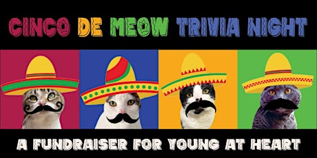 Cinco De Meow Trivia Night to Benefit Young at Heart primary image