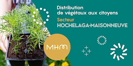 Distribution de végétaux aux citoyens - Secteur Hochelaga-Maisonneuve