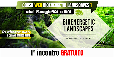 Immagine principale di Corso WEB Bioenergetic Landscapes 1 