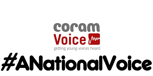 A National Voice - Building a Campaign