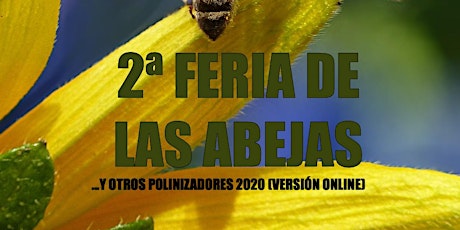 Imagen principal de 2ª Feria de las abejas, y otros polinizadores 2020 (versión online)