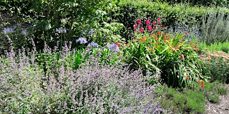 How to Master Herbaceous Borders
