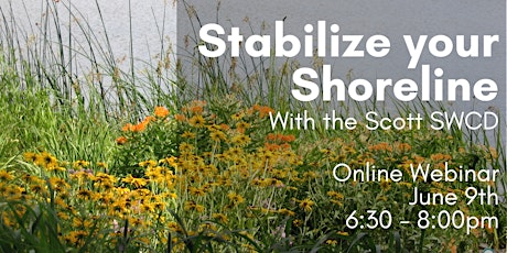 Stabilize your Shoreline