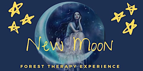 Forest Therapy on the New Moon