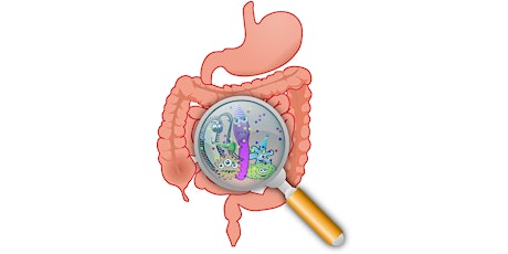 Image principale de Les intestins, notre 2ème cerveau et siège de notre immunité. Comment les garder en forme ?