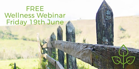Healthy Boundaries Webinar - Saying Yes to You primary image