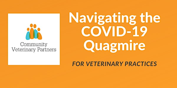 Navigating the COVID-19 Quagmire for Veterinary Practices