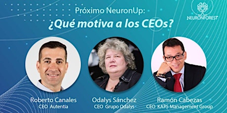¿Qué Motiva a los CEOs? - NeuronUp
