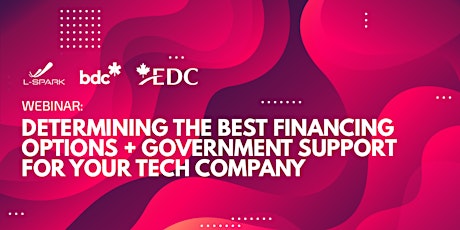 Determining the Best Financing Options + Gov Support for your Tech Company