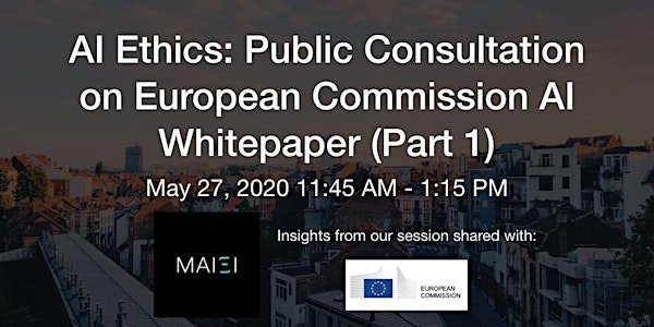AI Ethics: Public Consultation on European Commission AI Whitepaper (Part 1...