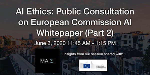 AI Ethics: Public Consultation on European Commission AI Whitepaper (Part 2...