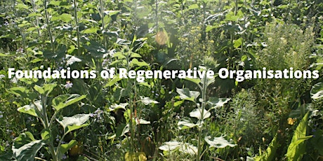 Foundations of Regenerative Organisations - Workshop primary image