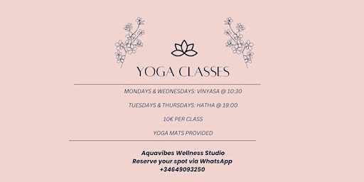 Image principale de Yoga Classes
