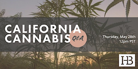 California Cannabis Q&A primary image