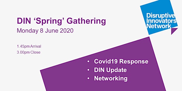 DIN spring gathering  - covid lessons, innovations & member update