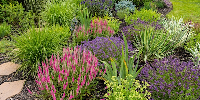 Image principale de Richmond Hill Blooms: 2026 Front Yards Gardening Workshop & Plant Sale