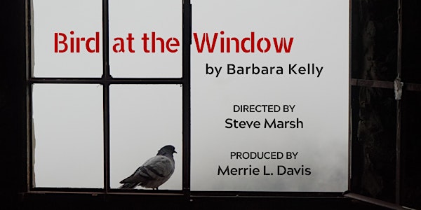 Monday Night Reading Series: BIRD AT THE WINDOW by Barbara Kelly