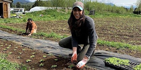 Summer Solstice Seed Farm Work-Learn Party primary image