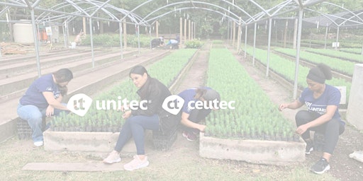 Imagen principal de Voluntariado Corporativo: Limpieza vivero ICF