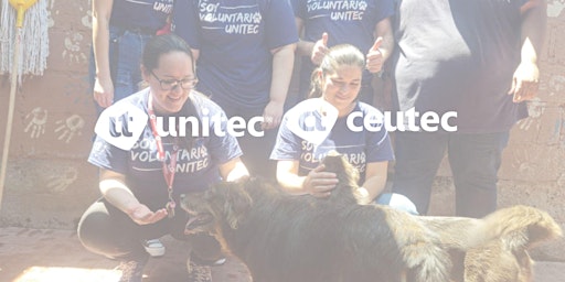 Voluntariado Corporativo: Limpieza Refugio de animales ARI primärbild