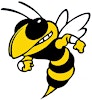 SSA Lady Hornets's Logo