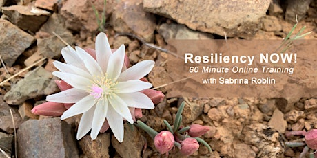 Resiliency NOW! Free Online Training - June 3rd