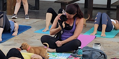 Doggy Noses & Yoga Poses at Crunch Clifton! primary image