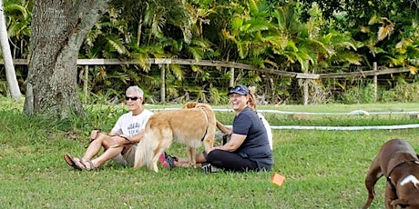 Copy of Dog Fun Day at the Goat Farm! Play 'n Train Workshop