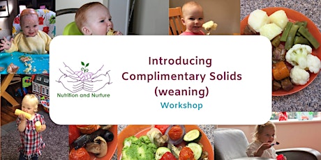 Introducing Solids to your Baby primary image