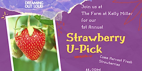 Strawberry U-Pick primary image