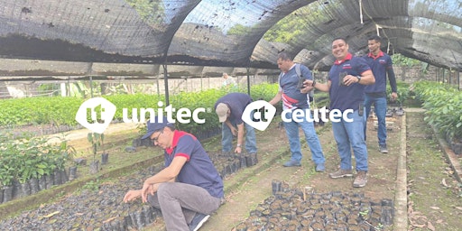 Voluntariado corporativo: Limpieza y llenado de bolsas en Vivero ICF primärbild