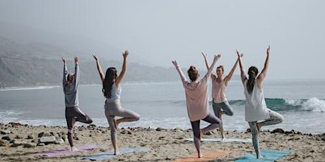 Private Yoga Class (1-to-1 or small group) primary image