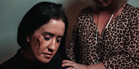 Understanding Domestic Abuse and its Impact boletos
