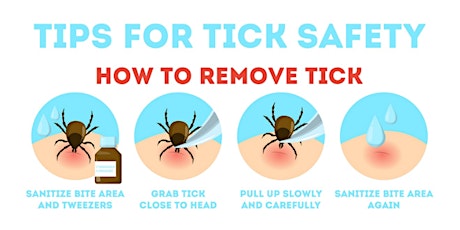 Tick Talk: Lyme disease and what is happening in Ontario primary image