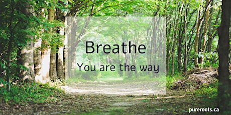 ONLINE Breathwork Journey ~ An Active Meditation