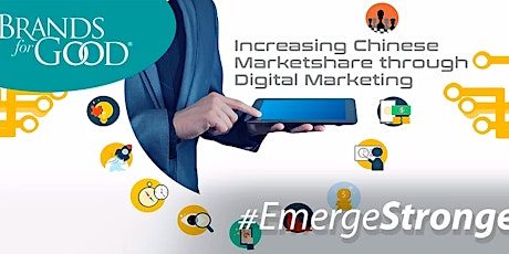 Increasing Chinese Marketshare through Digital Marketing - ZOOM Webinar primary image