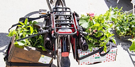 Webinar "Como Transportar os 4 C's em Bicicletas C