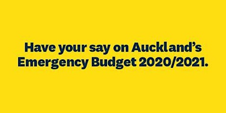 Emergency Budget 2020/2021 primary image