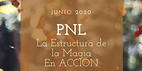 PNL " La Estructura de la Magia EN ACCIÓN"
