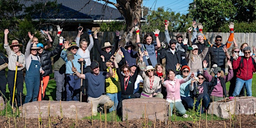 Imagen principal de Fraser St Tiny Forest 12-month Biodiversity Monitoring Day
