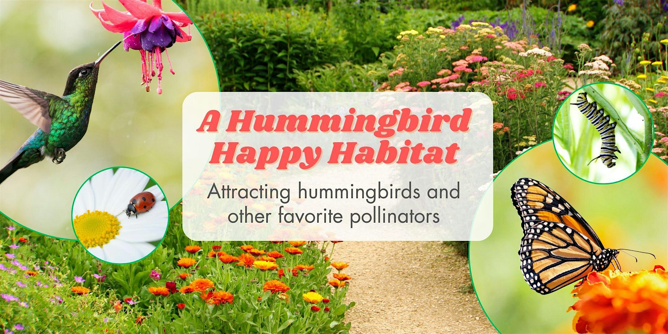 A Hummingbird Happy Habitat: Attracting Hummingbirds and More!