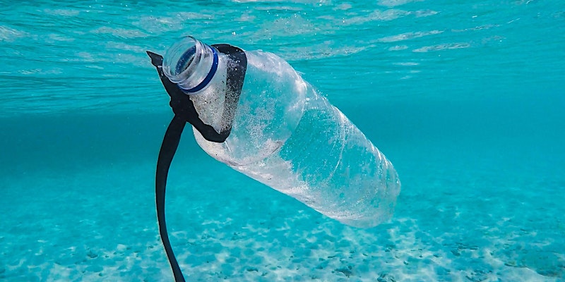 Webinar: Micro plastics in our oceans