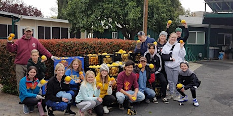 Brentwood Area Cherry Harvest primary image