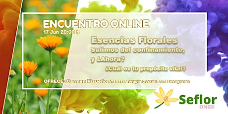 Imagen principal de ENCUENTRO ONLINE. Esencias Florales Después del Confinamiento.