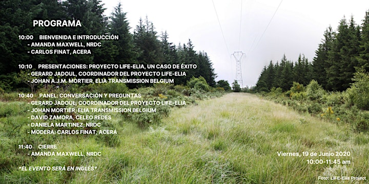 Imagen de Corredores Sustentables: El próximo paso en líneas de transmisión en Chile