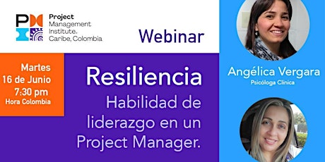 Imagen principal de Resiliencia: Habilidad de Liderazgo en un Project Manager