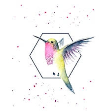 Organizer profile image